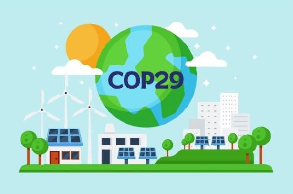 What is COP29 and Why does it Matters for Business?